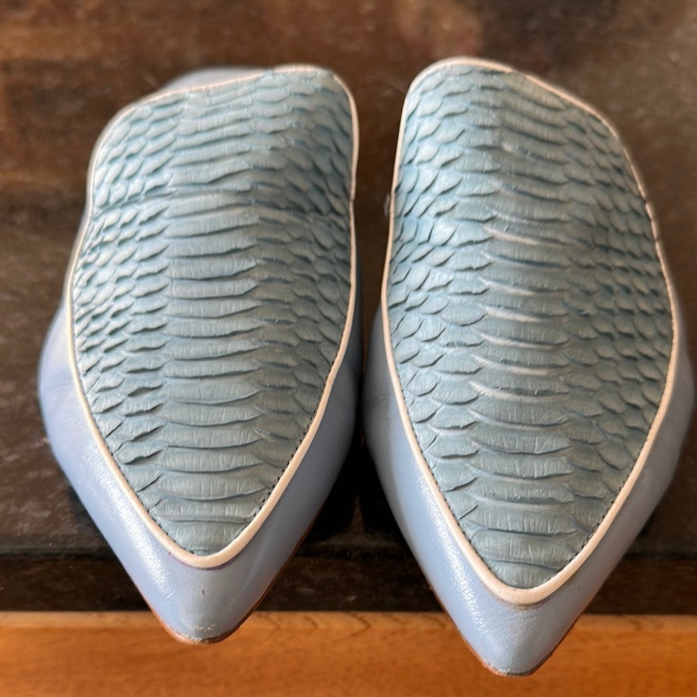 Elegant Blue Women's Shoes